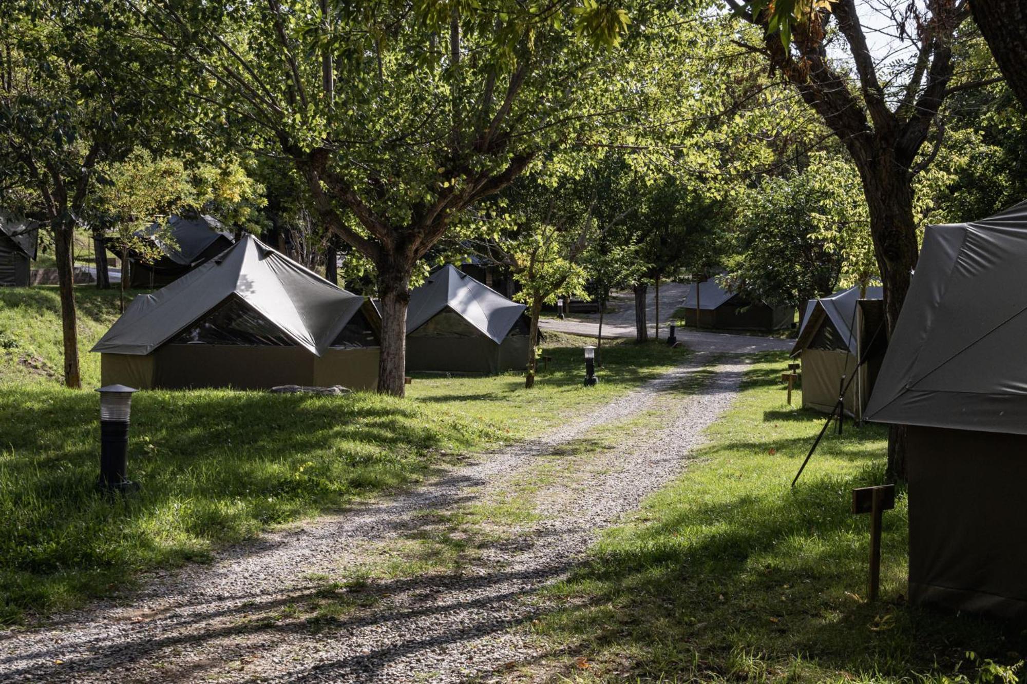 Готель Basecamps Cerdanya Caixans Номер фото
